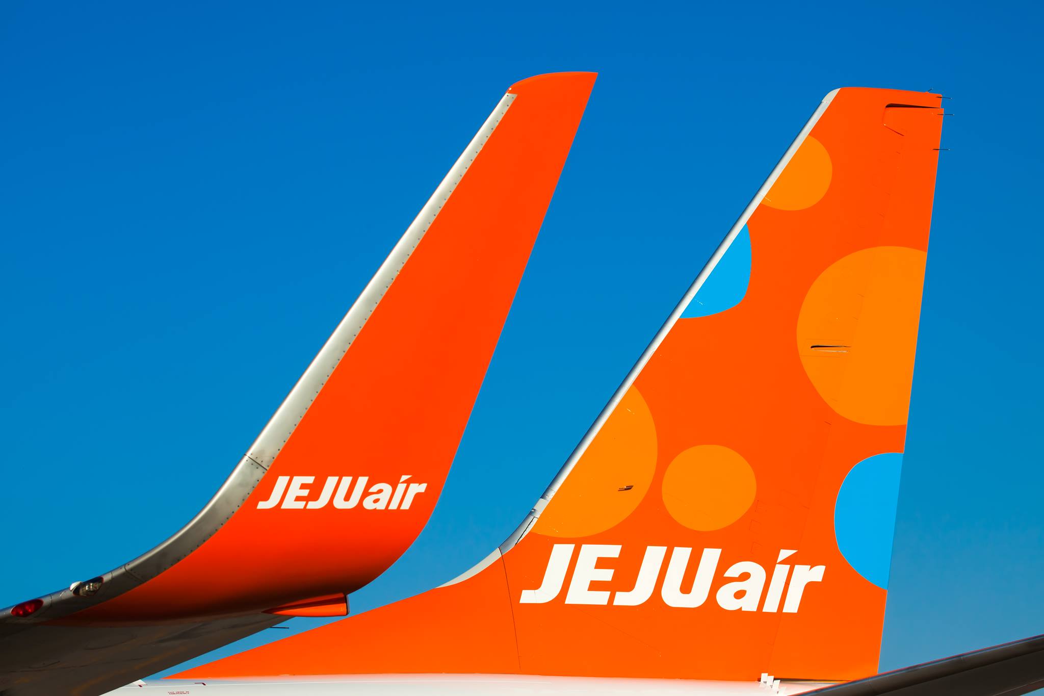 CAE 7000xr. Jeju Air. Jeju Air авиабилет. Jeju Air logo. Самолет нов слова