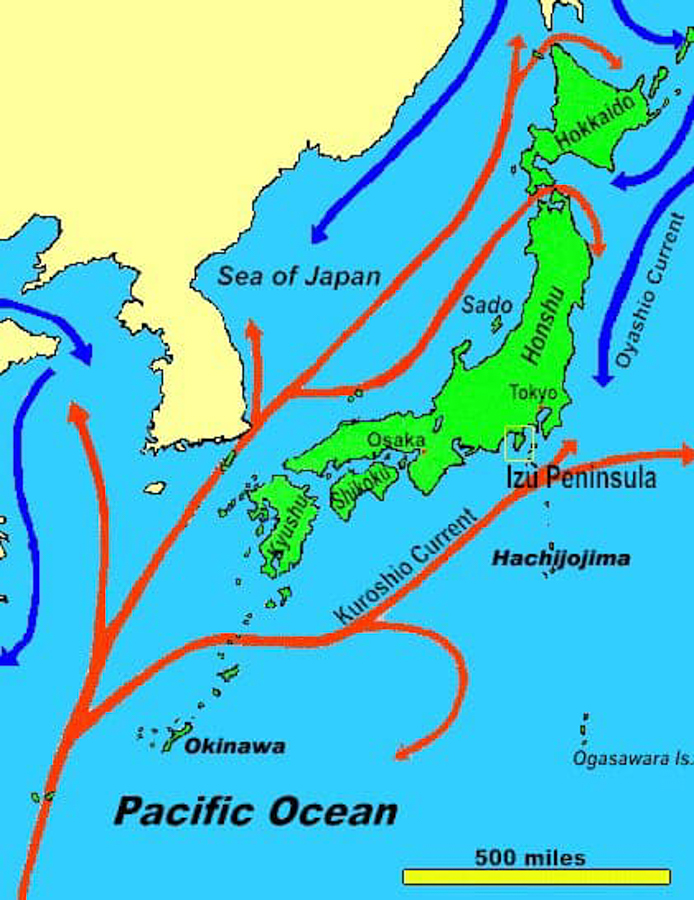 Теплые моря на карте. Куросио течение на карте. Карта течений Японии. Течение Куросио. Карта течений японского моря.